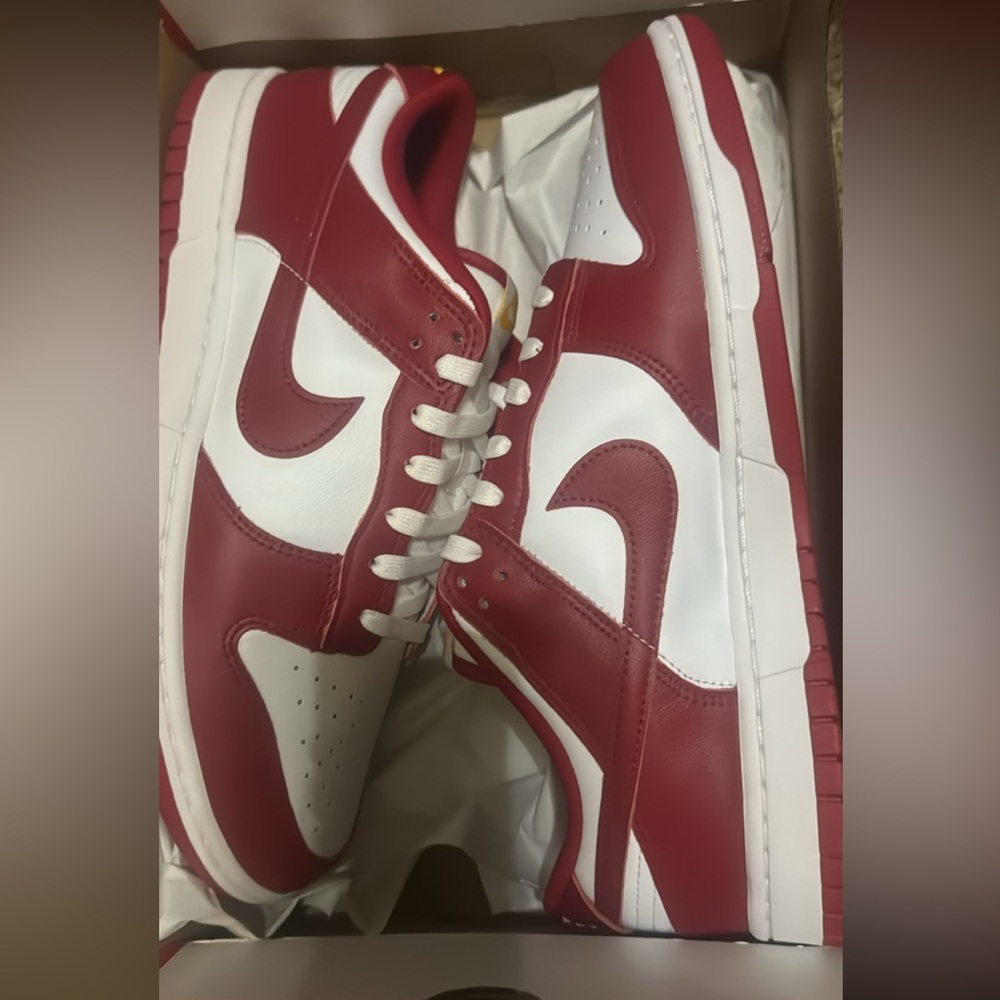 Men’s size 11 dunks. Never been worn or taken out of the box.